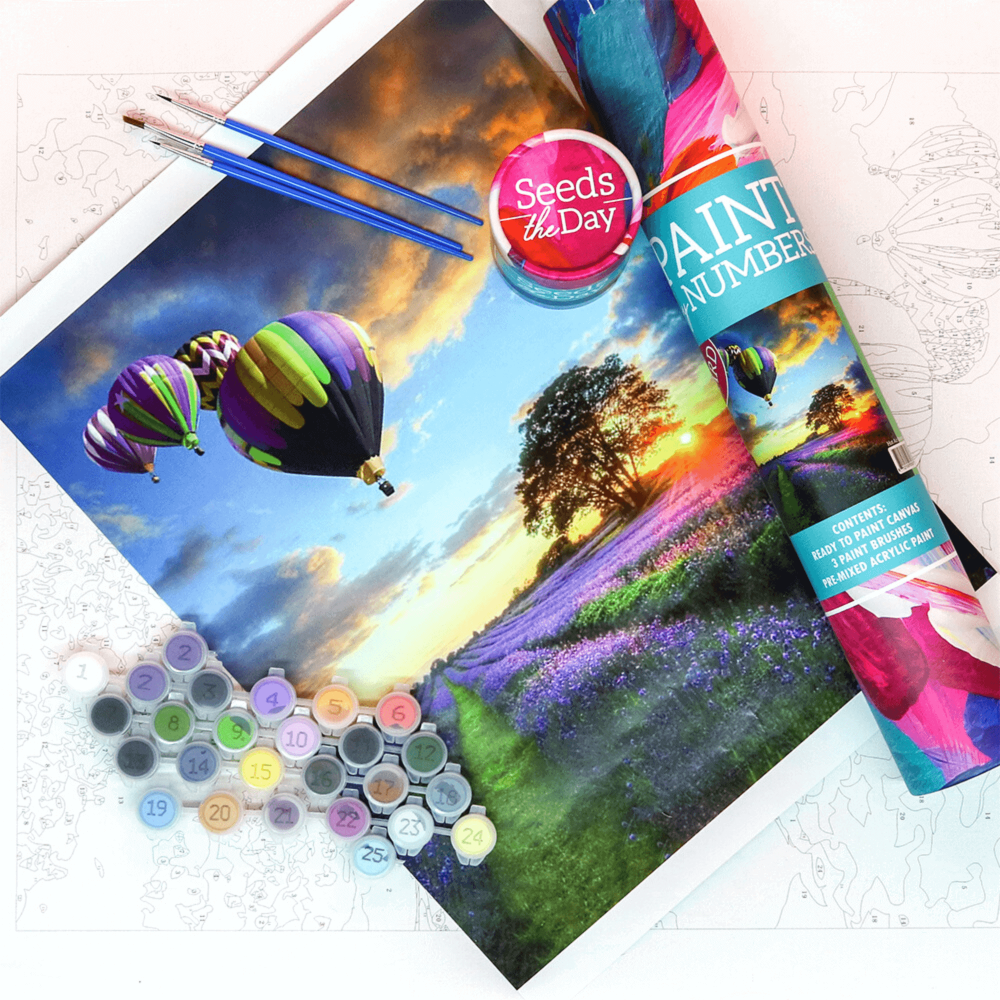 https://essentialgifting.com/products/art-paint-by-number-hot-air-balloon-painting-craft