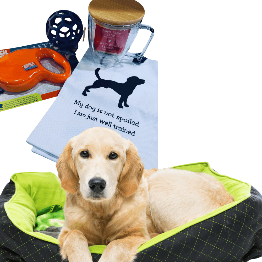 Gift Box for Dog Mom Lovers.